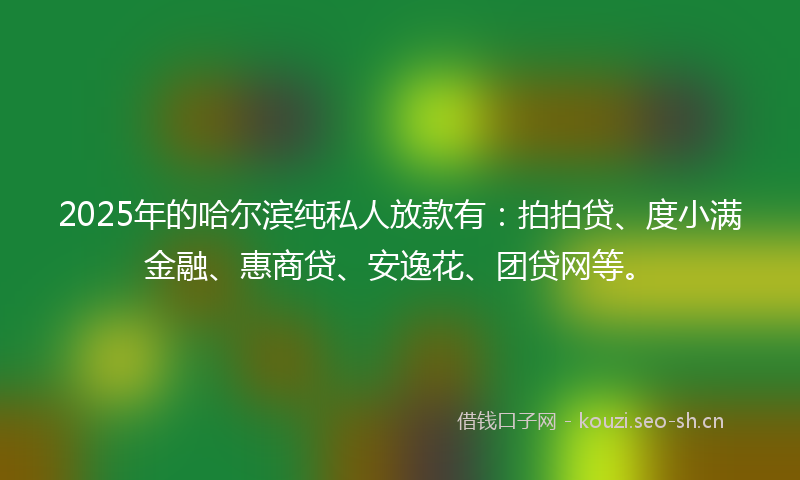 2025年的哈尔滨纯私人放款有：拍拍贷、度小满金融、惠商贷、安逸花、团贷网等。
