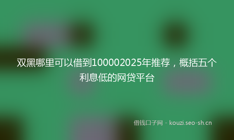 双黑哪里可以借到100002025年推荐，概括五个利息低的网贷平台