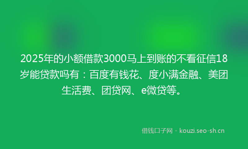 2025年的小额借款3000马上到账的不看征信18岁能贷款吗有：百度有钱花、度小满金融、美团生活费、团贷网、e微贷等。