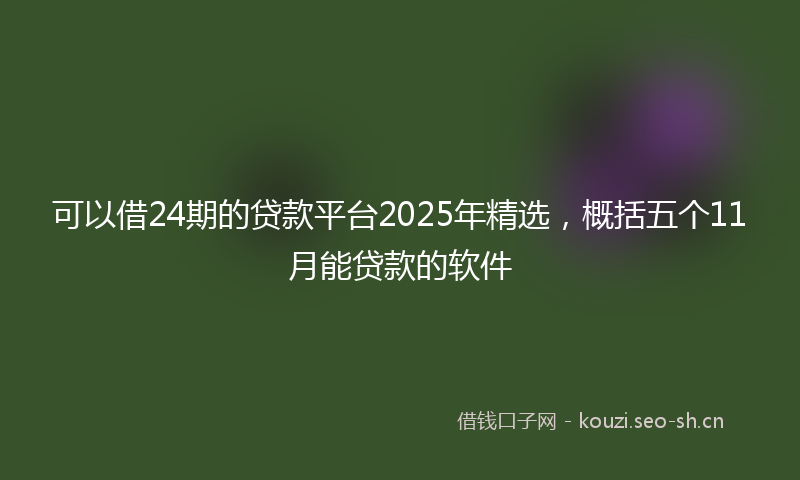 可以借24期的贷款平台2025年精选，概括五个11月能贷款的软件