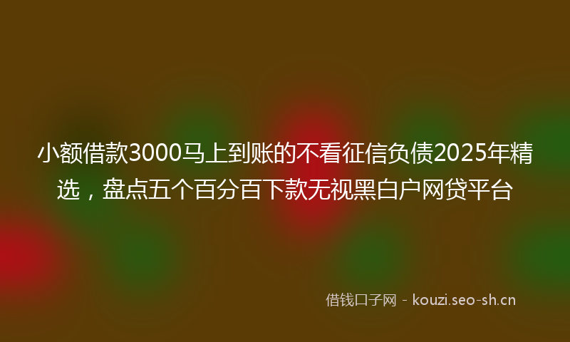 小额借款3000马上到账的不看征信负债2025年精选,盘点五个百分百下款无视黑白户网贷平台