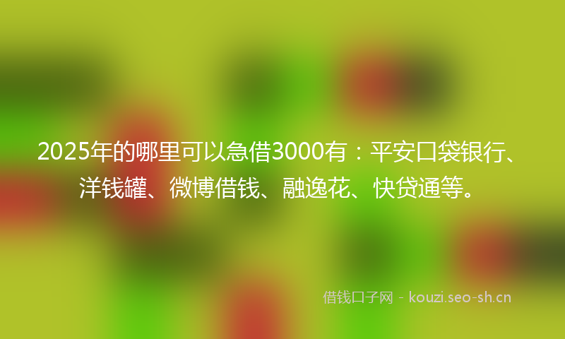 2025年的哪里可以急借3000有：平安口袋银行、洋钱罐、微博借钱、融逸花、快贷通等。