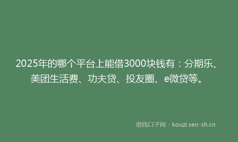 2025年的哪个平台上能借3000块钱有：分期乐、美团生活费、功夫贷、投友圈、e微贷等。