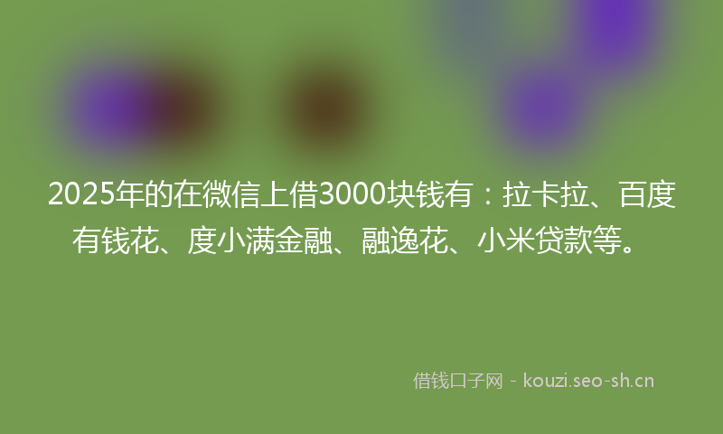 2025年的在微信上借3000块钱有：拉卡拉、百度有钱花、度小满金融、融逸花、小米贷款等。