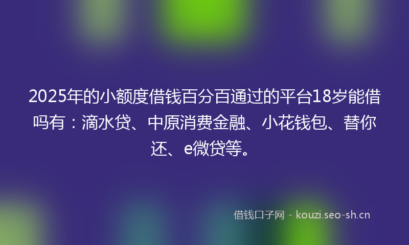 2025年的小额度借钱百分百通过的平台18岁能借吗有:滴水贷、中原消费金融、小花钱包、替你还、e微贷等。