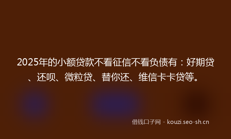 2025年的小额贷款不看征信不看负债有：好期贷、还呗、微粒贷、替你还、维信卡卡贷等。