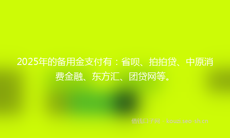 2025年的备用金支付有:省呗、拍拍贷、中原消费金融、东方汇、团贷网等。