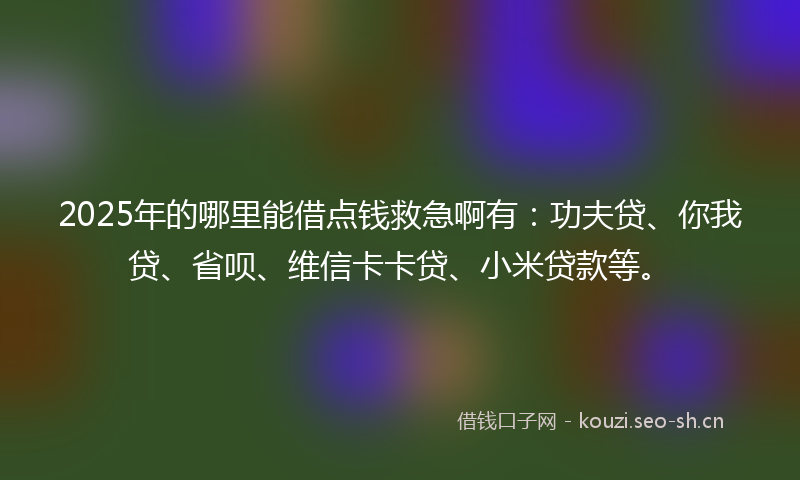 2025年的哪里能借点钱救急啊有：功夫贷、你我贷、省呗、维信卡卡贷、小米贷款等。