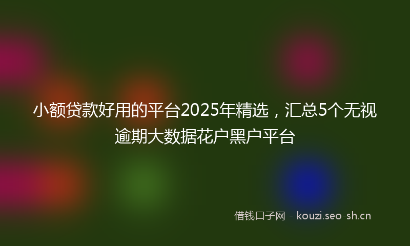 小额贷款好用的平台2025年精选，汇总5个无视逾期大数据花户黑户平台