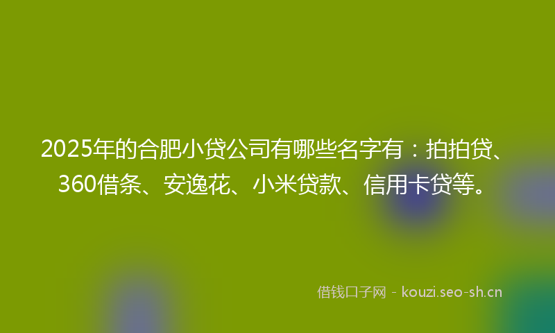 2025年的合肥小贷公司有哪些名字有：拍拍贷、360借条、安逸花、小米贷款、信用卡贷等。