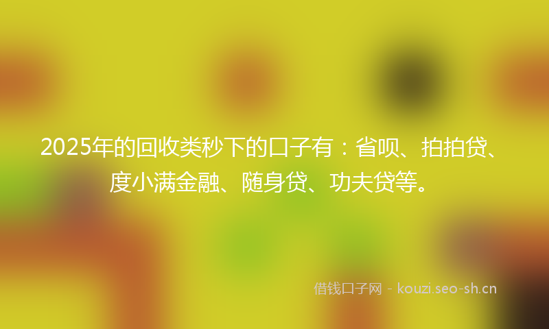 2025年的回收类秒下的口子有：省呗、拍拍贷、度小满金融、随身贷、功夫贷等。