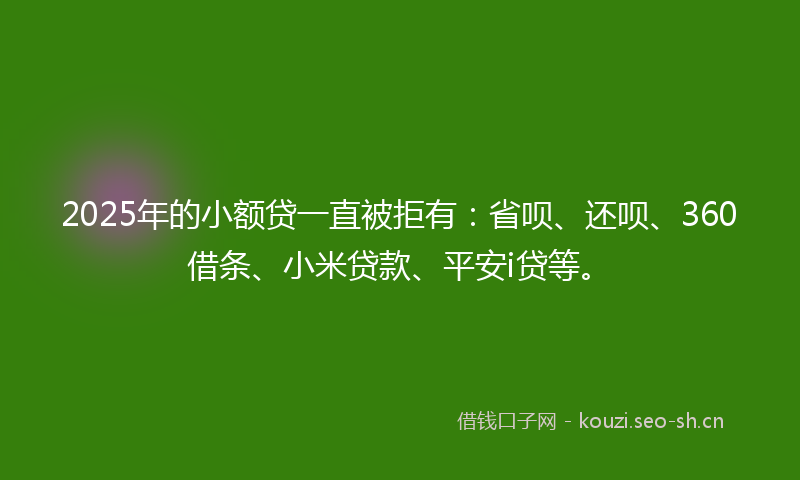 2025年的小额贷一直被拒有：省呗、还呗、360借条、小米贷款、平安i贷等。