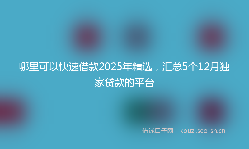 哪里可以快速借款2025年精选,汇总5个12月独家贷款的平台