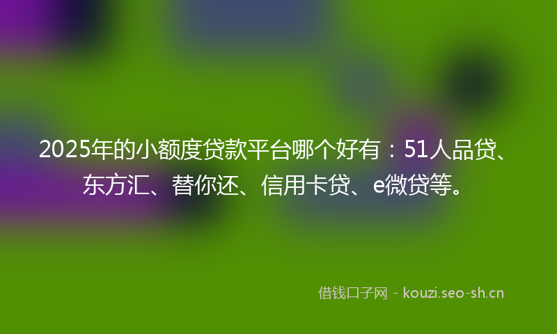 2025年的小额度贷款平台哪个好有:51人品贷、东方汇、替你还、信用卡贷、e微贷等。