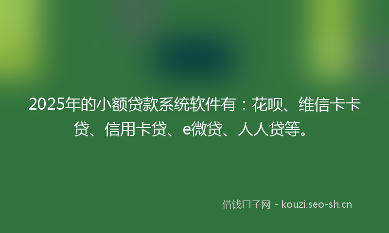 2025年的小额贷款系统软件有：花呗、维信卡卡贷、信用卡贷、e微贷、人人贷等。