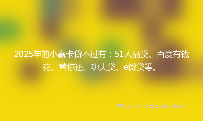 2025年的小赢卡贷不过有：51人品贷、百度有钱花、替你还、功夫贷、e微贷等。