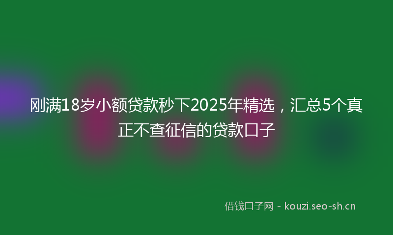 刚满18岁小额贷款秒下2025年精选，汇总5个真正不查征信的贷款口子