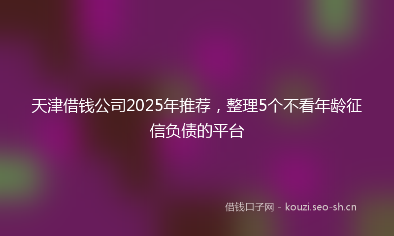 天津借钱公司2025年推荐，整理5个不看年龄征信负债的平台
