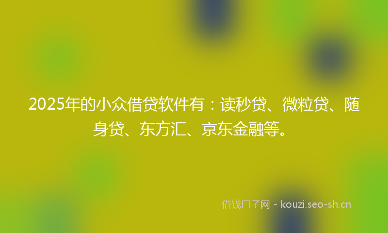 2025年的小众借贷软件有：读秒贷、微粒贷、随身贷、东方汇、京东金融等。