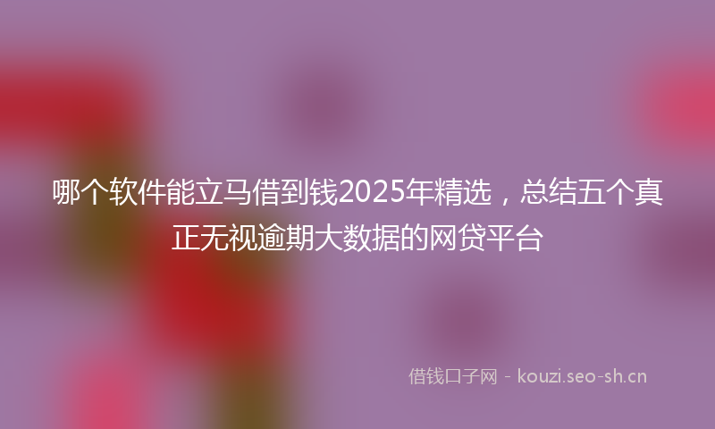 哪个软件能立马借到钱2025年精选，总结五个真正无视逾期大数据的网贷平台
