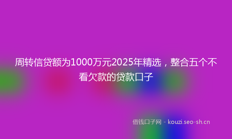 周转信贷额为1000万元2025年精选，整合五个不看欠款的贷款口子