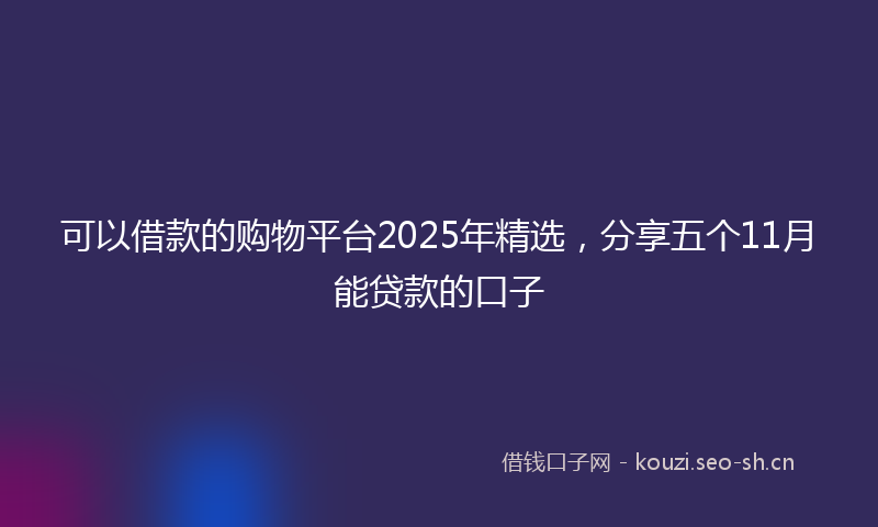 可以借款的购物平台2025年精选，分享五个11月能贷款的口子