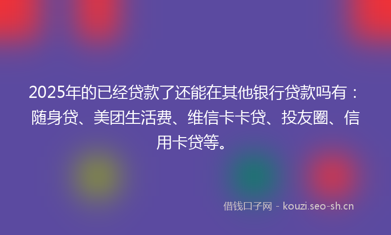 2025年的已经贷款了还能在其他银行贷款吗有：随身贷、美团生活费、维信卡卡贷、投友圈、信用卡贷等。