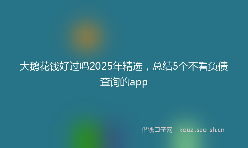 大鹅花钱好过吗2025年精选，总结5个不看负债查询的app