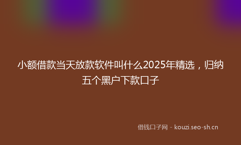 小额借款当天放款软件叫什么2025年精选，归纳五个黑户下款口子