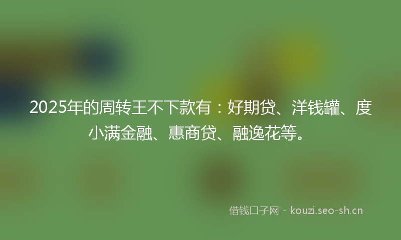 2025年的周转王不下款有：好期贷、洋钱罐、度小满金融、惠商贷、融逸花等。