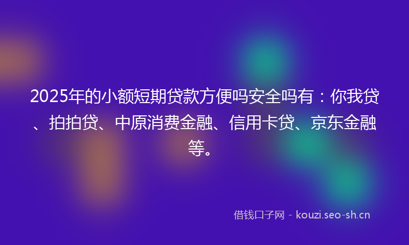 2025年的小额短期贷款方便吗安全吗有：你我贷、拍拍贷、中原消费金融、信用卡贷、京东金融等。