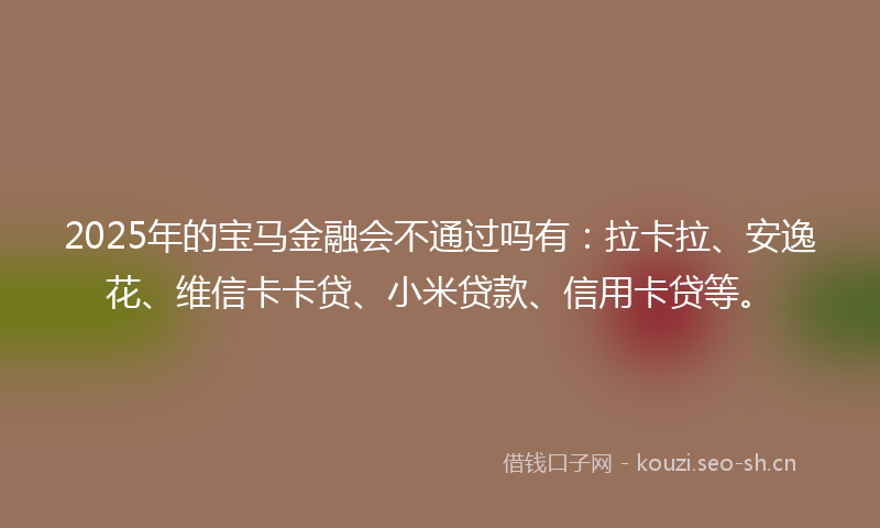2025年的宝马金融会不通过吗有:拉卡拉、安逸花、维信卡卡贷、小米贷款、信用卡贷等。