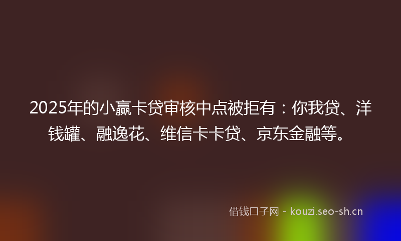 2025年的小赢卡贷审核中点被拒有：你我贷、洋钱罐、融逸花、维信卡卡贷、京东金融等。