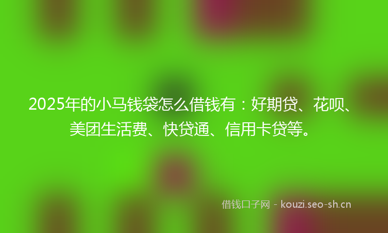 2025年的小马钱袋怎么借钱有：好期贷、花呗、美团生活费、快贷通、信用卡贷等。