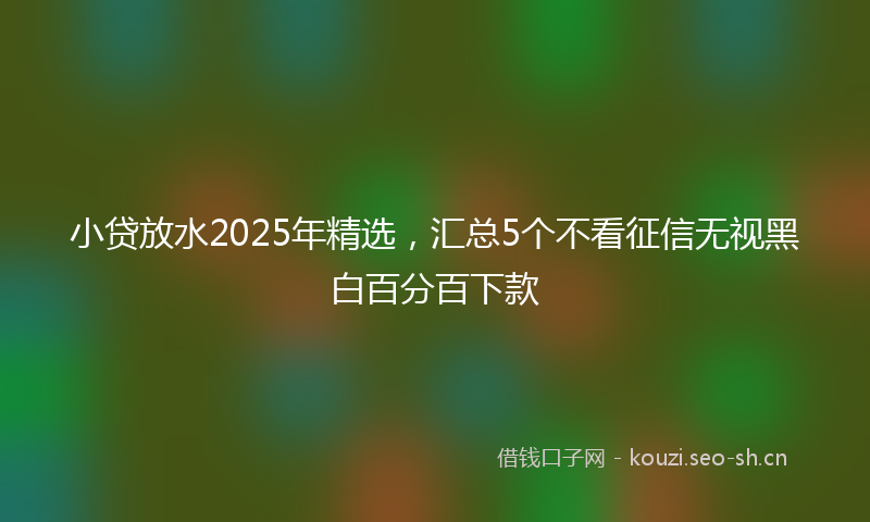 小贷放水2025年精选，汇总5个不看征信无视黑白百分百下款