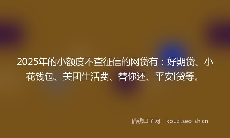 2025年的小额度不查征信的网贷有：好期贷、小花钱包、美团生活费、替你还、平安i贷等。