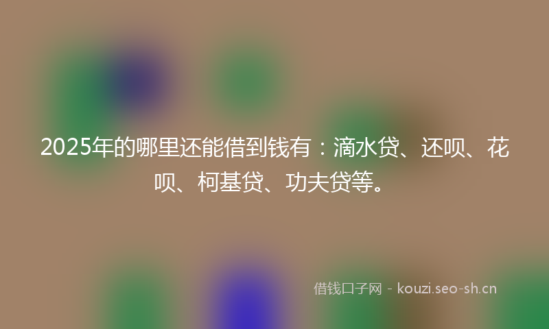 2025年的哪里还能借到钱有：滴水贷、还呗、花呗、柯基贷、功夫贷等。