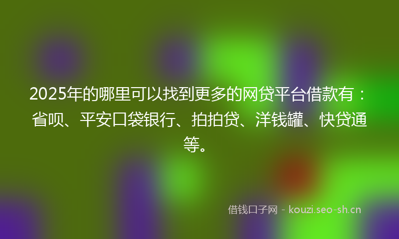 2025年的哪里可以找到更多的网贷平台借款有：省呗、平安口袋银行、拍拍贷、洋钱罐、快贷通等。