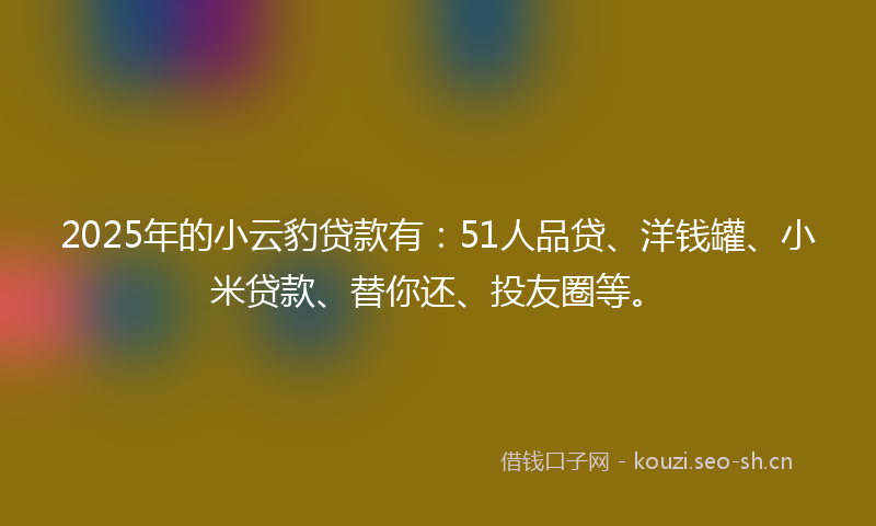 2025年的小云豹贷款有：51人品贷、洋钱罐、小米贷款、替你还、投友圈等。