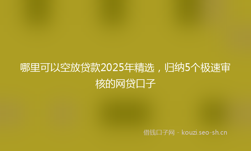 哪里可以空放贷款2025年精选,归纳5个极速审核的网贷口子