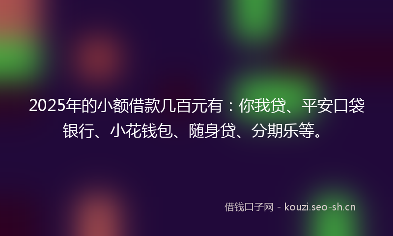2025年的小额借款几百元有：你我贷、平安口袋银行、小花钱包、随身贷、分期乐等。