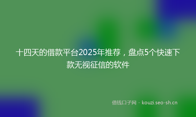 十四天的借款平台2025年推荐,盘点5个快速下款无视征信的软件