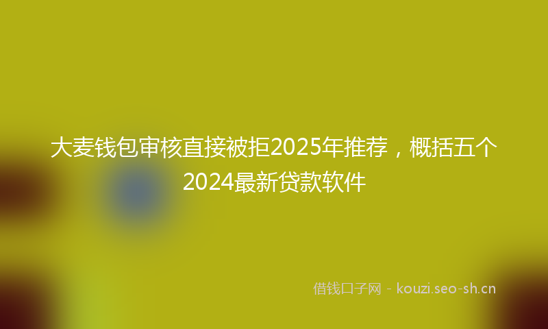 大麦钱包审核直接被拒2025年推荐，概括五个2024最新贷款软件
