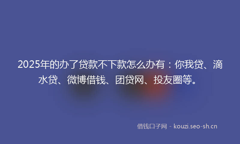 2025年的办了贷款不下款怎么办有：你我贷、滴水贷、微博借钱、团贷网、投友圈等。