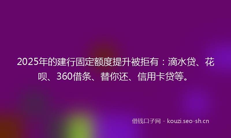 2025年的建行固定额度提升被拒有：滴水贷、花呗、360借条、替你还、信用卡贷等。
