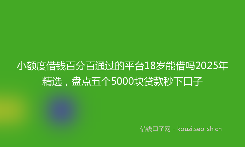 小额度借钱百分百通过的平台18岁能借吗2025年精选,盘点五个5000块贷款秒下口子