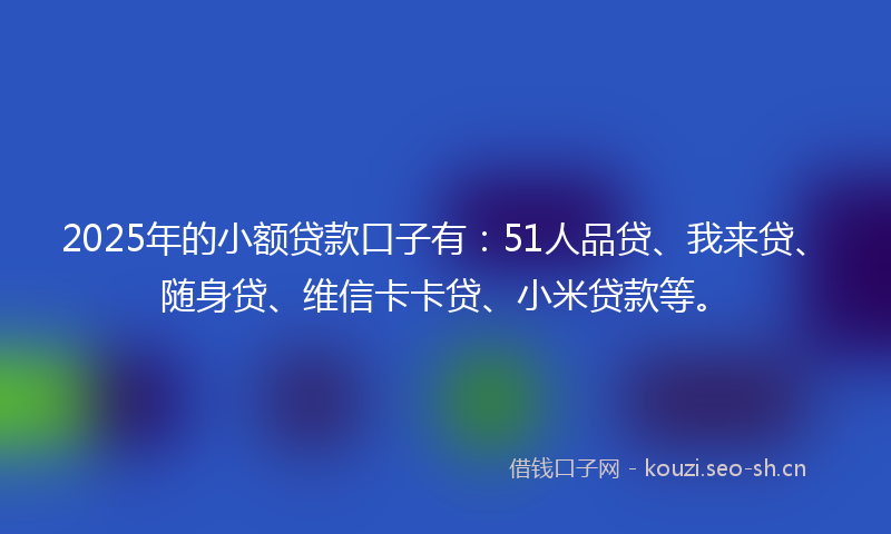 2025年的小额贷款口子有：51人品贷、我来贷、随身贷、维信卡卡贷、小米贷款等。
