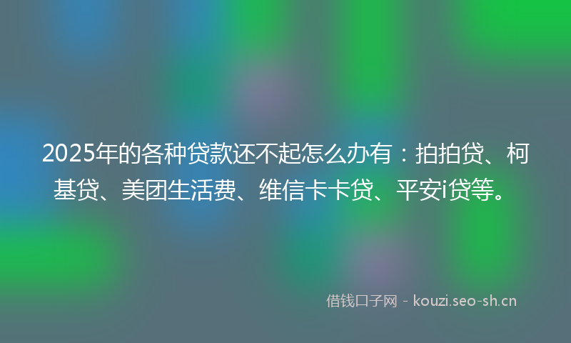 2025年的各种贷款还不起怎么办有:拍拍贷、柯基贷、美团生活费、维信卡卡贷、平安i贷等。