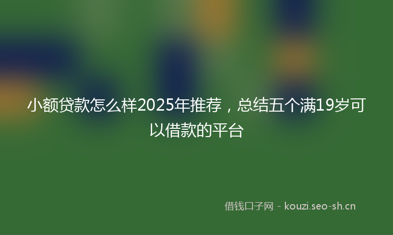 小额贷款怎么样2025年推荐，总结五个满19岁可以借款的平台