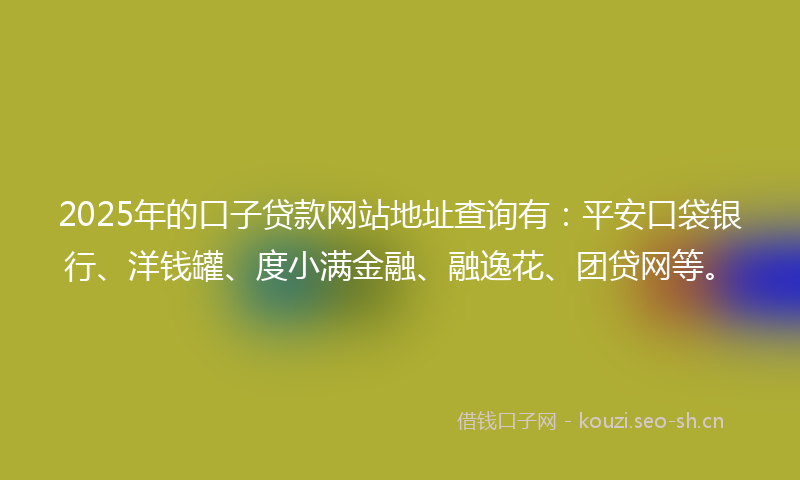 2025年的口子贷款网站地址查询有：平安口袋银行、洋钱罐、度小满金融、融逸花、团贷网等。